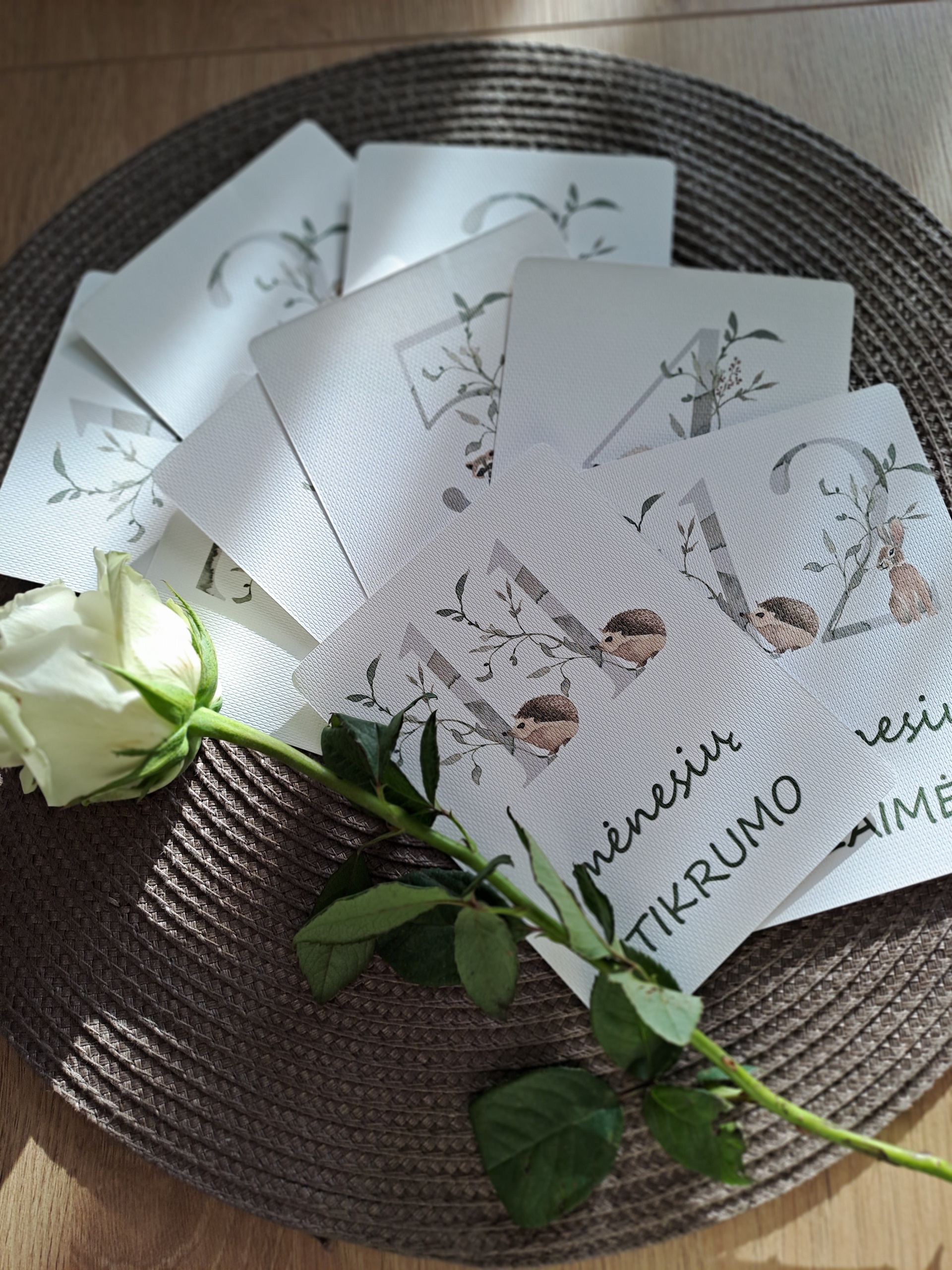 Kūdikio mėnesių kortelės "Tyrumas"