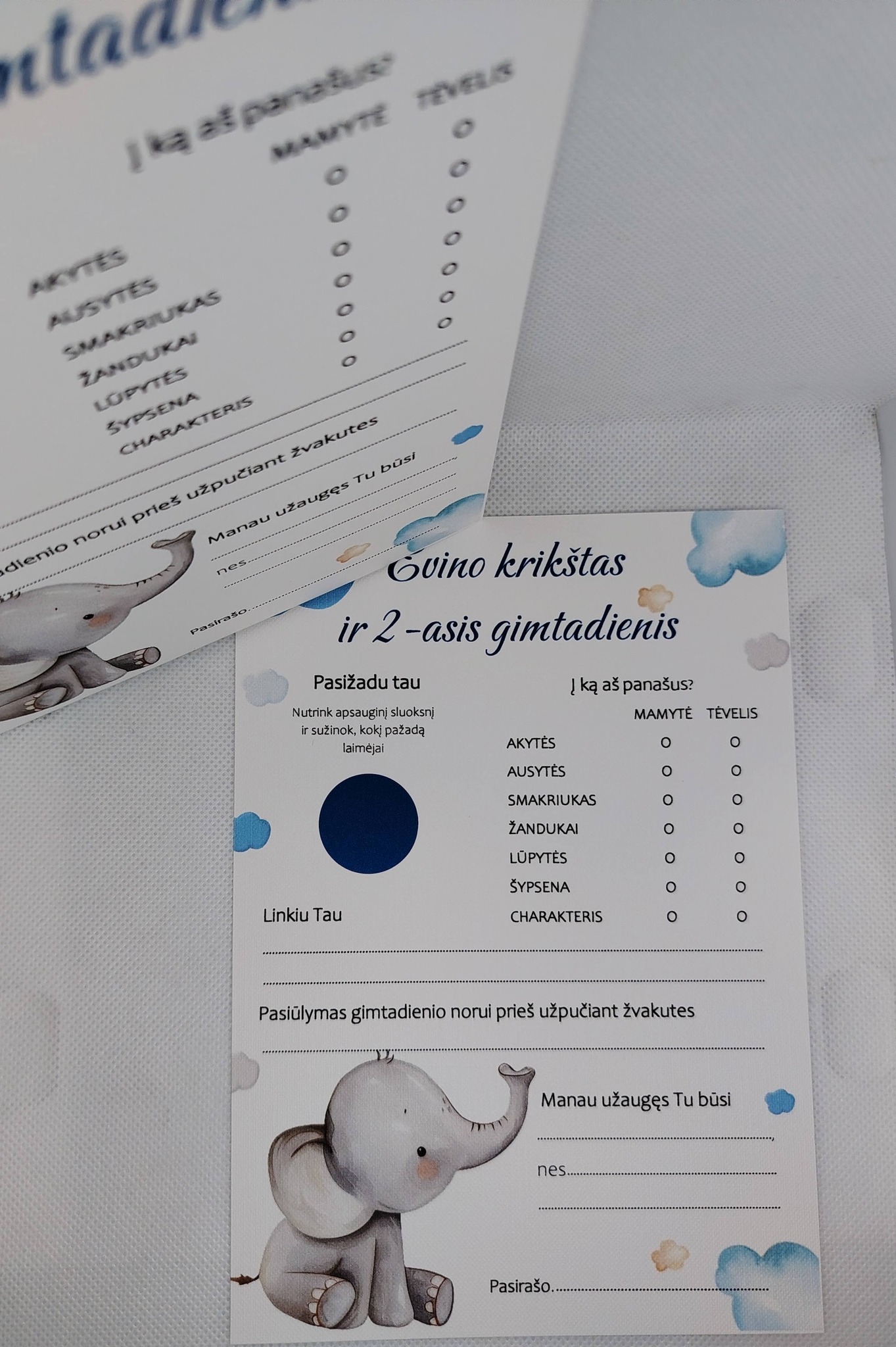 Krikštynų žaidimas GVINAS