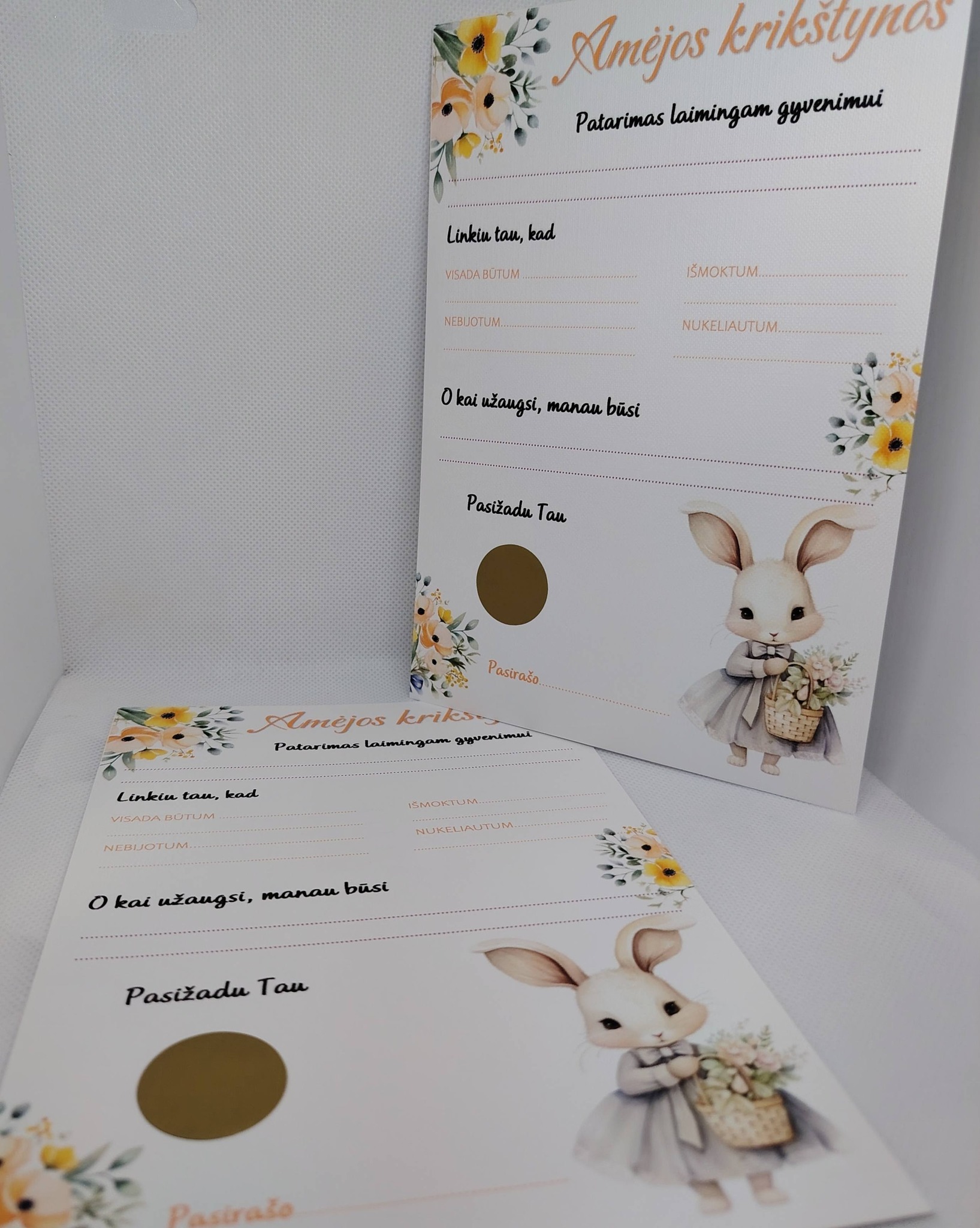 Krikštynų žaidimas AMĖJA