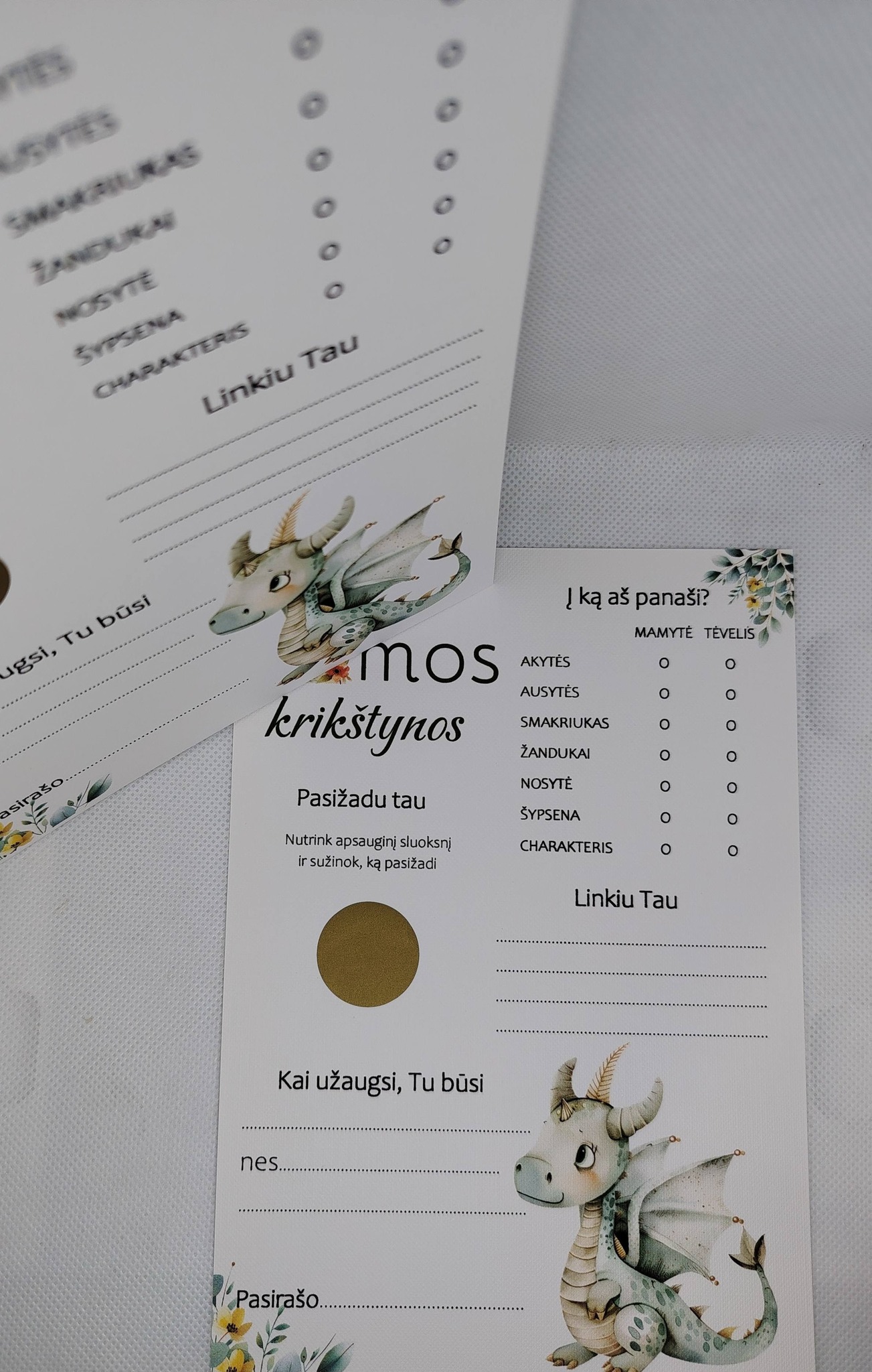 Krikštynų žaidimas EMA