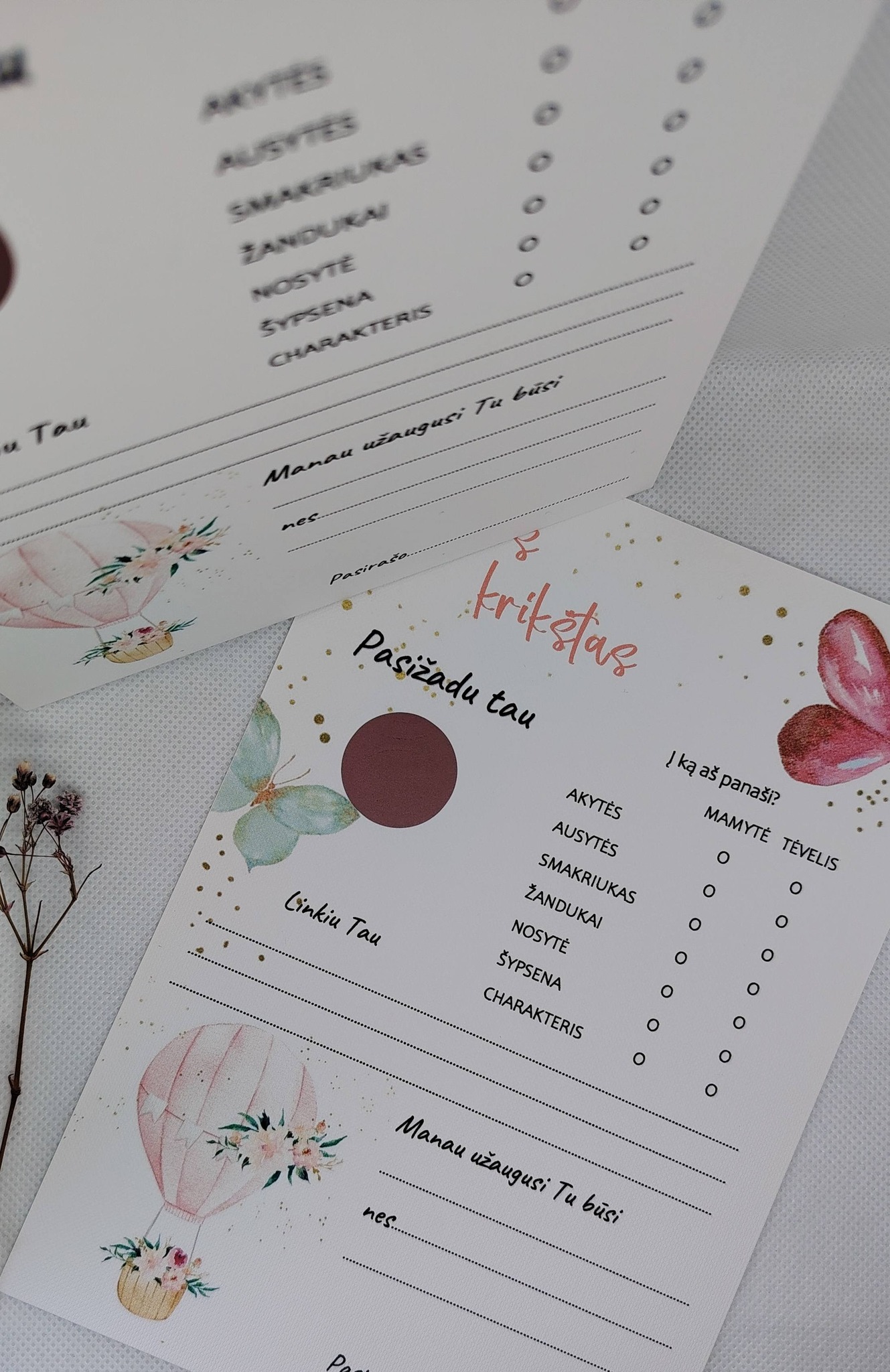 Krikštynų žaidimas DRUGELIS