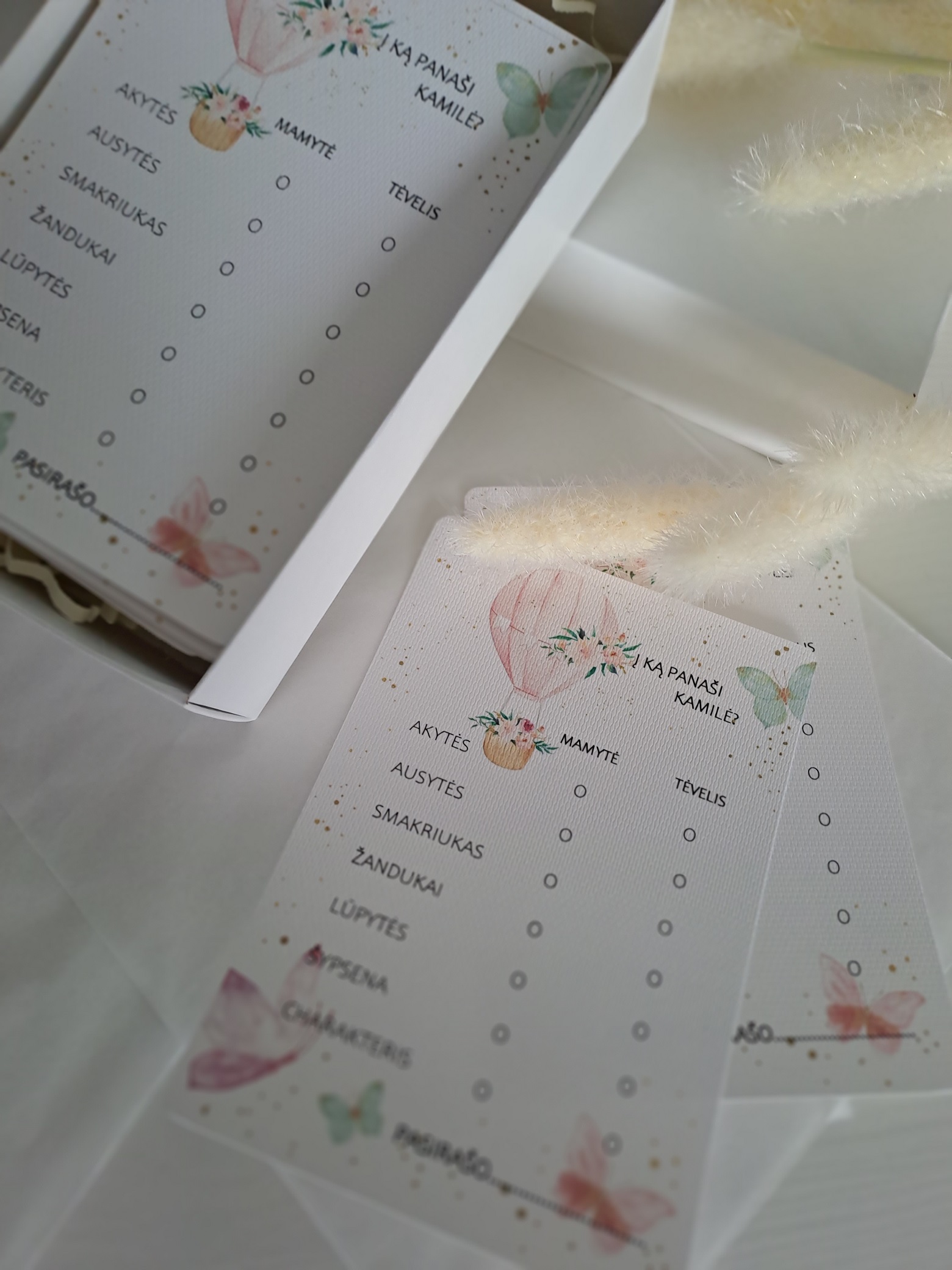 Žaidimas "Į ką aš panašus?"