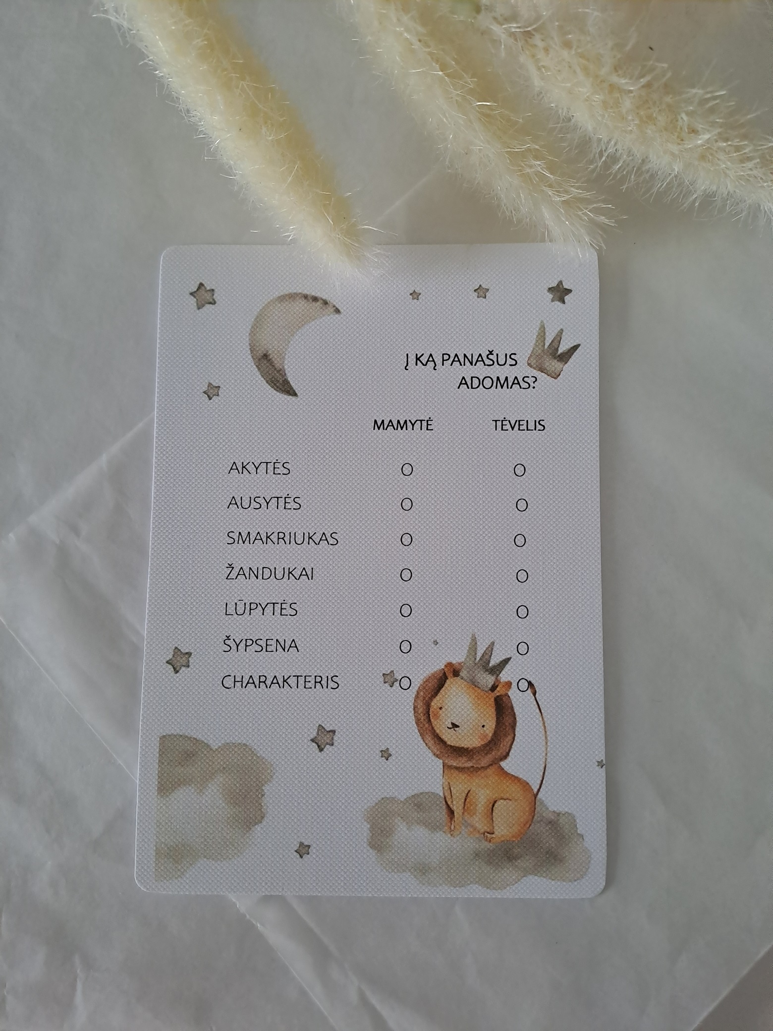 Žaidimas "Į ką aš panašus?"