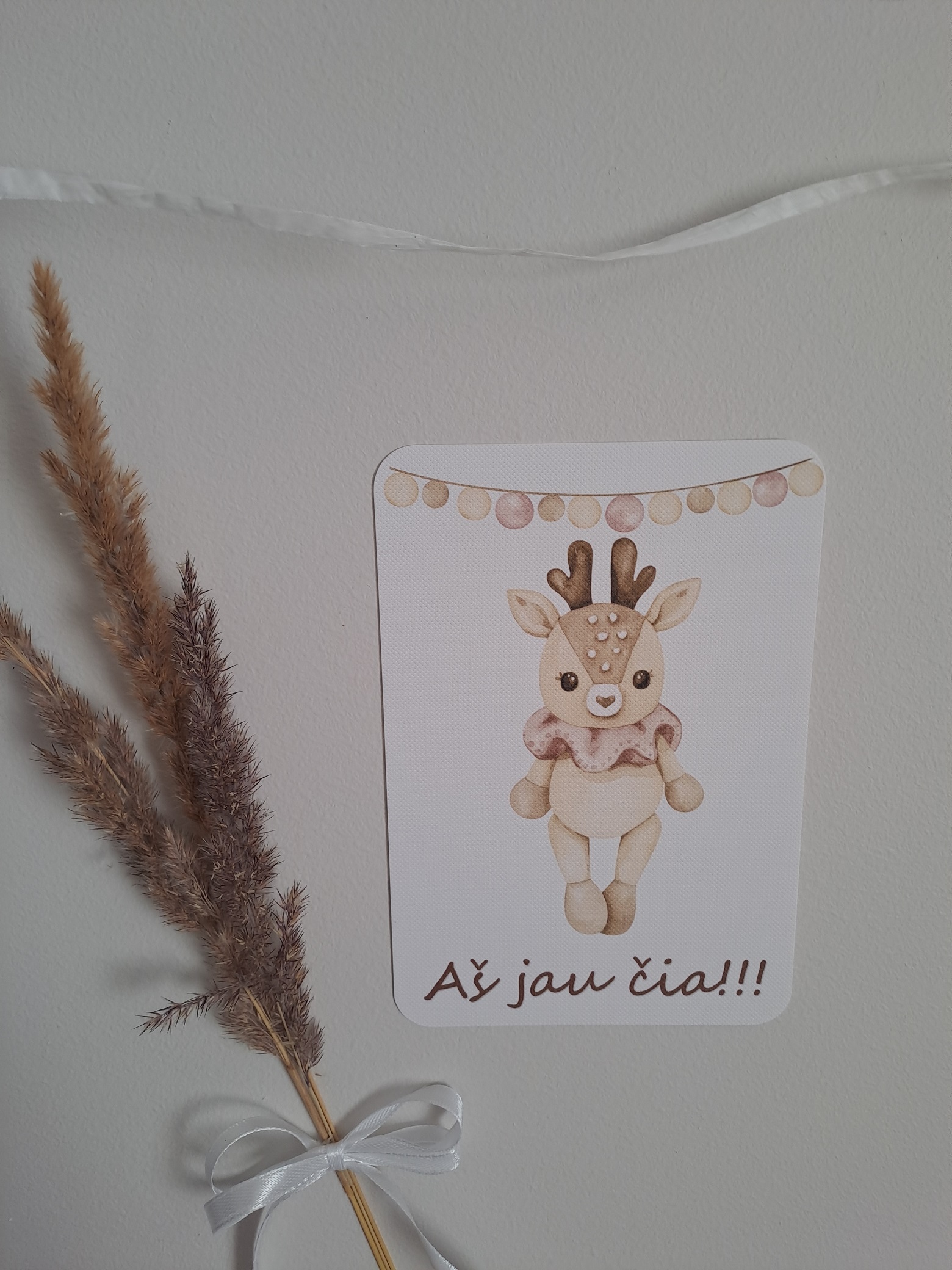 Kūdikio mėnesių kortelės "Boho"